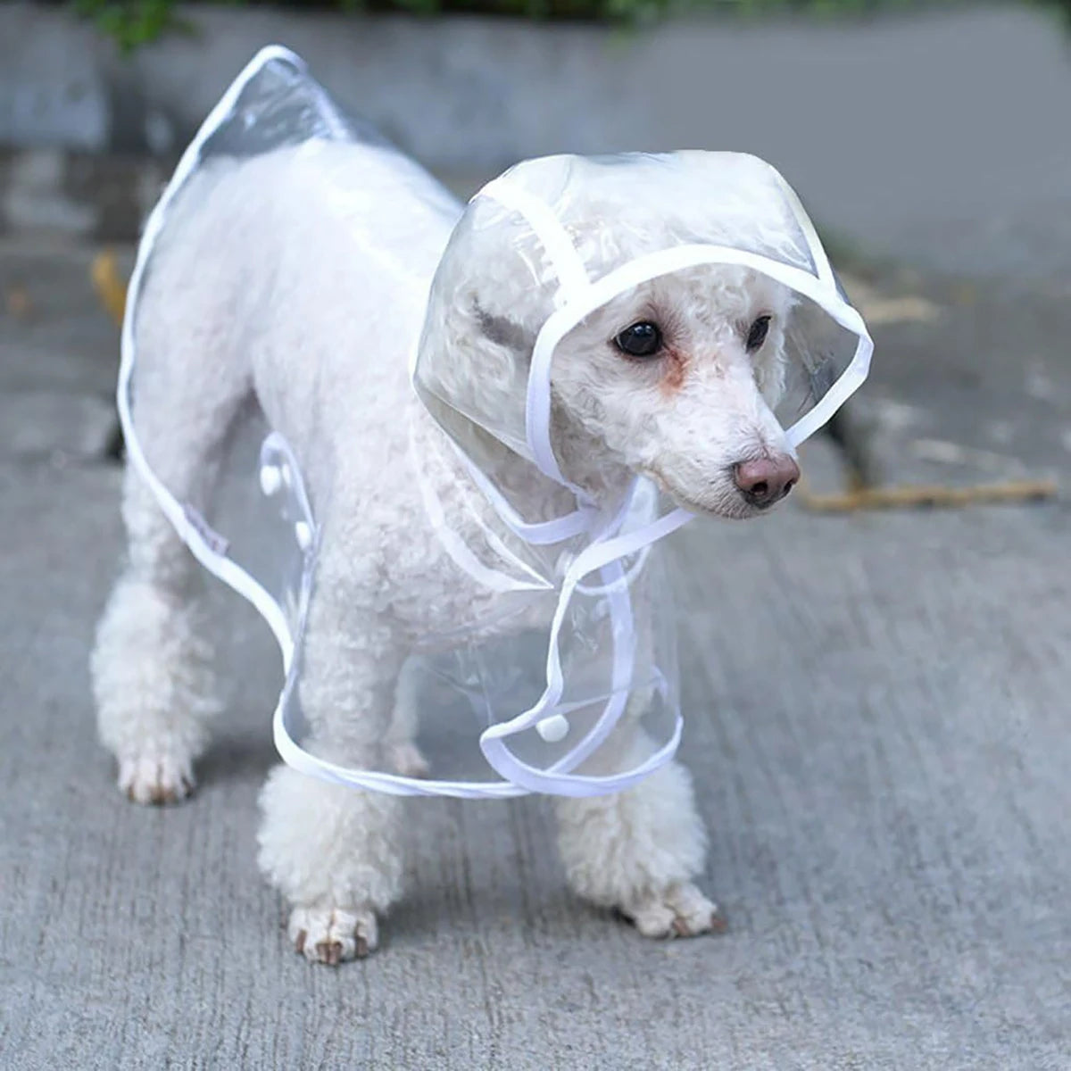 Pets Hooded Raincoat -Waterproof