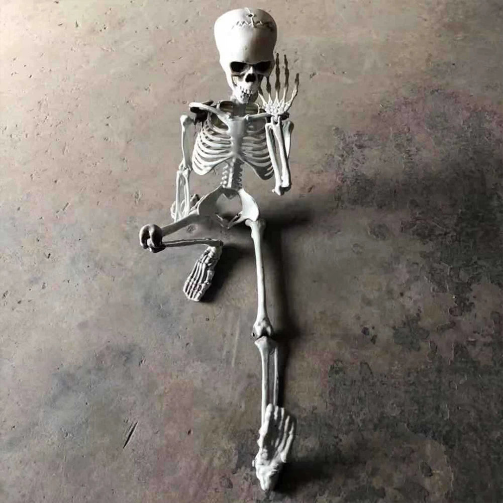 170cm Halloween Skeleton- Poseable Full Life Size Skeleton Prop