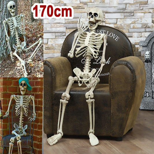 170cm Halloween Skeleton- Poseable Full Life Size Skeleton Prop