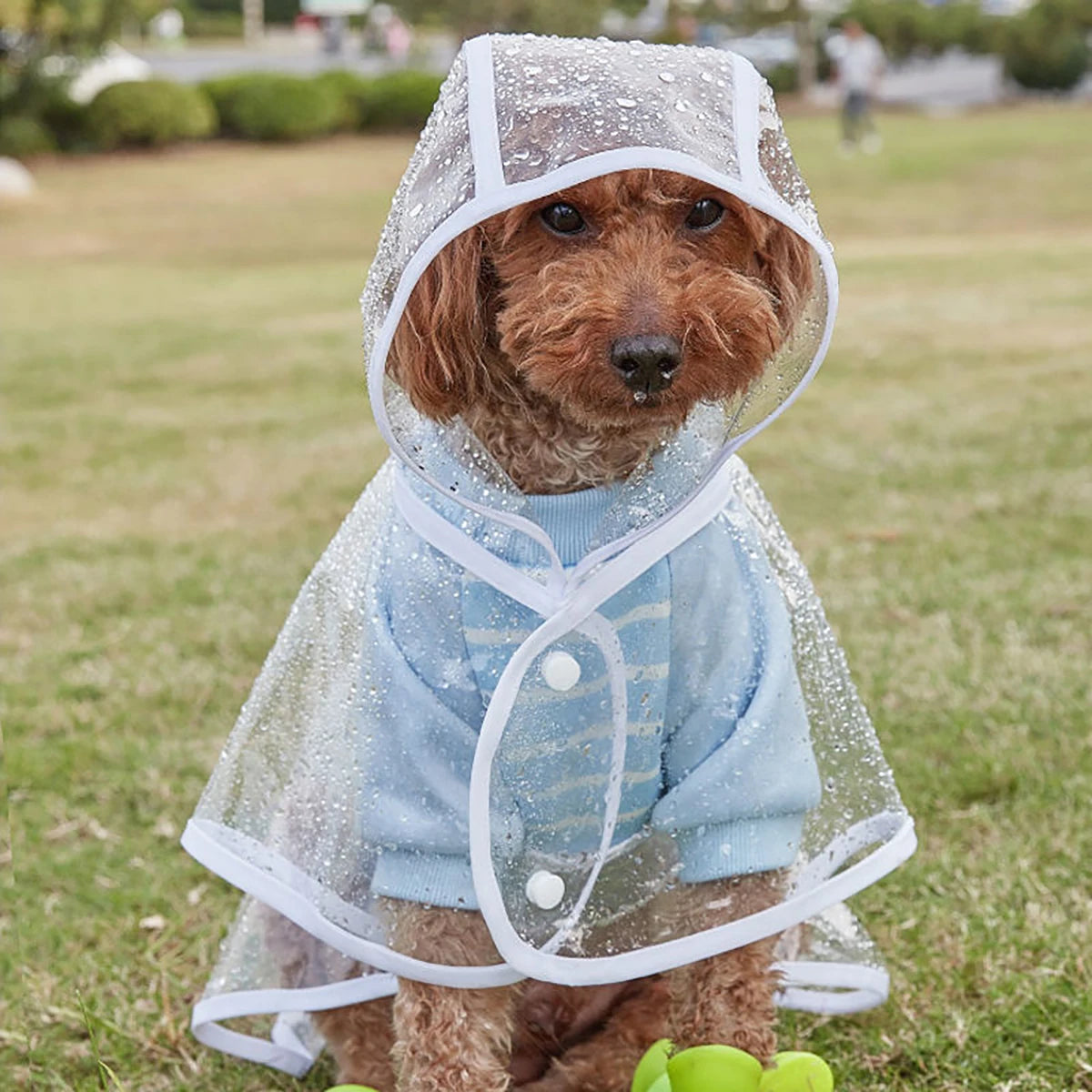 Pets Hooded Raincoat -Waterproof