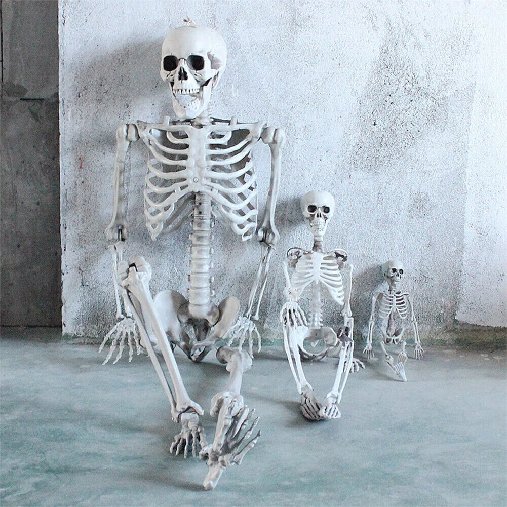 170cm Halloween Skeleton- Poseable Full Life Size Skeleton Prop